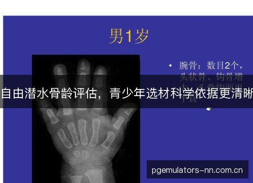 自由潜水骨龄评估,青少年选材科学依据更清晰 自由潜水骨龄评估,青少年选材科学依据更清晰